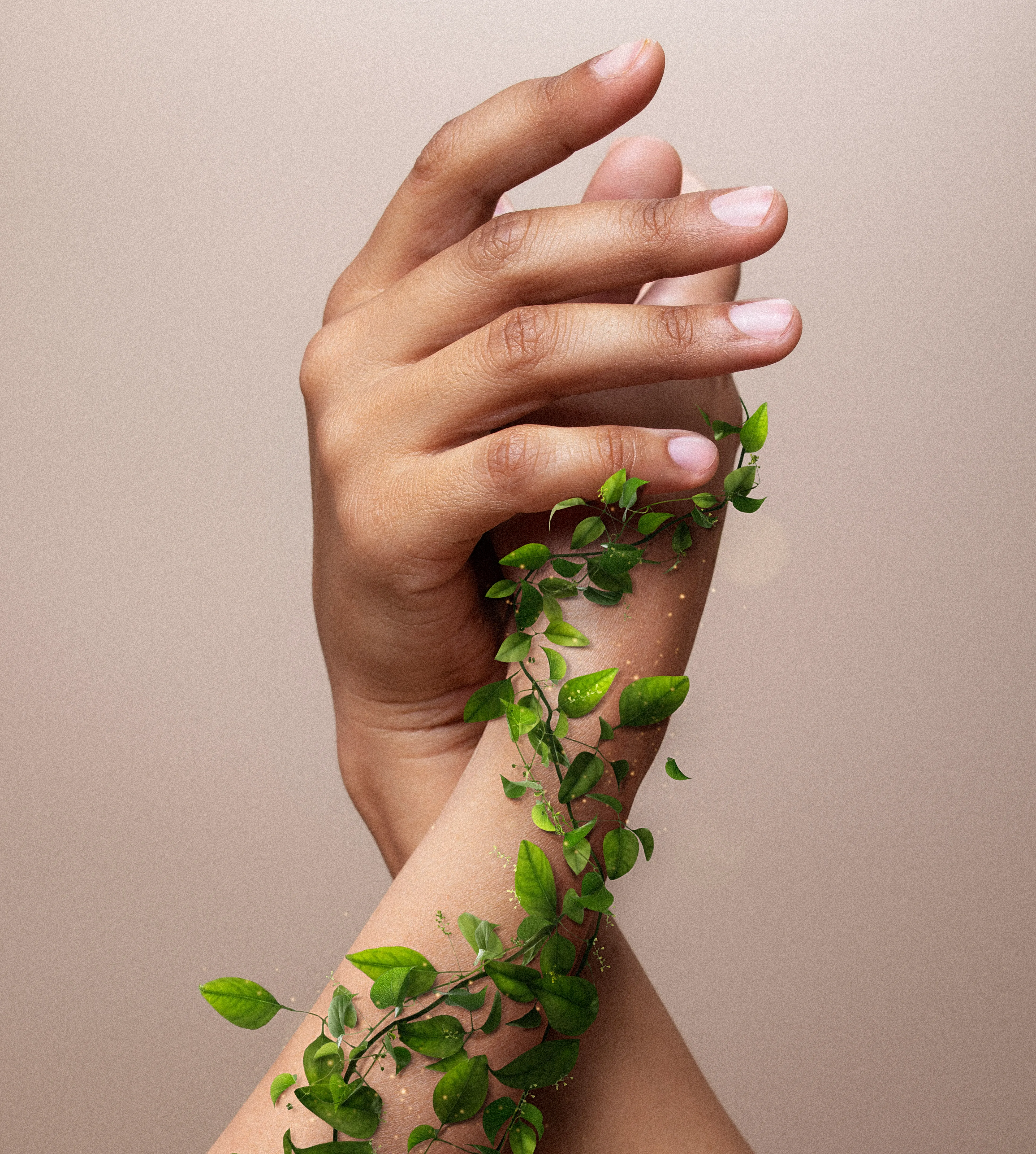 Aswanimadom Ayurveda Legacy